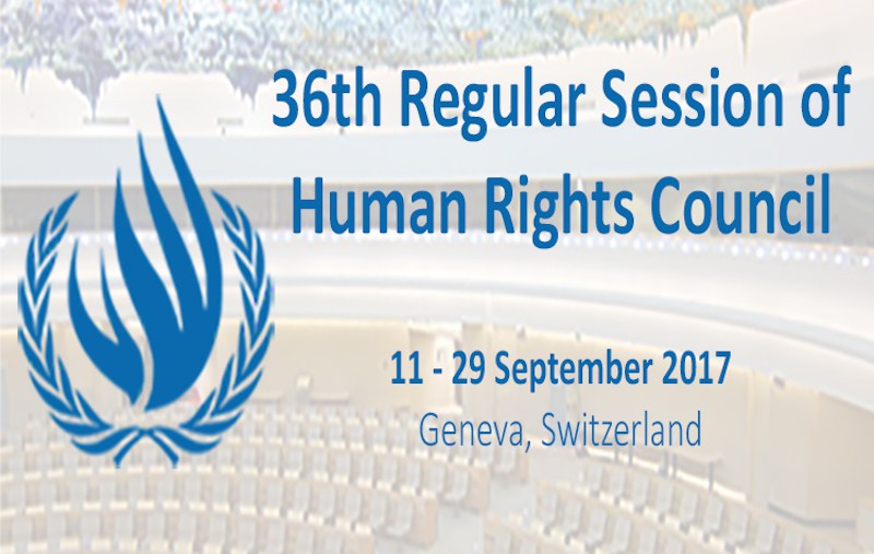 UN Human Rights Council 36th Regular Session Report on HRDs